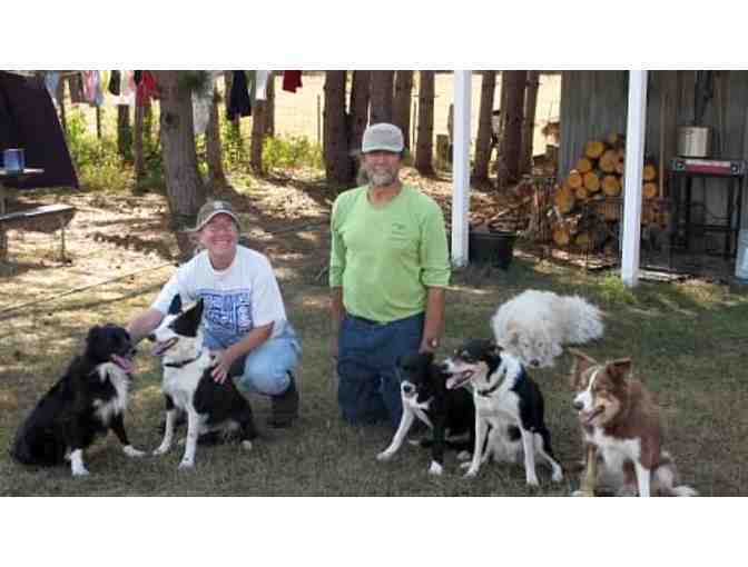 A Day on the Fleece Farm for Up to Four People in Oxford Township, MN