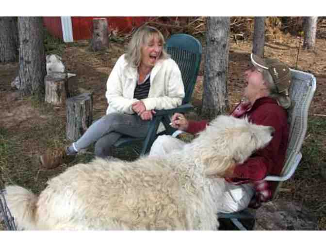 A Day on the Fleece Farm for Up to Four People in Oxford Township, MN
