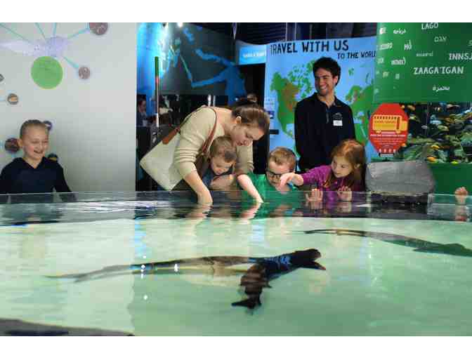 Four Tickets to the Great Lakes Aquarium in Duluth