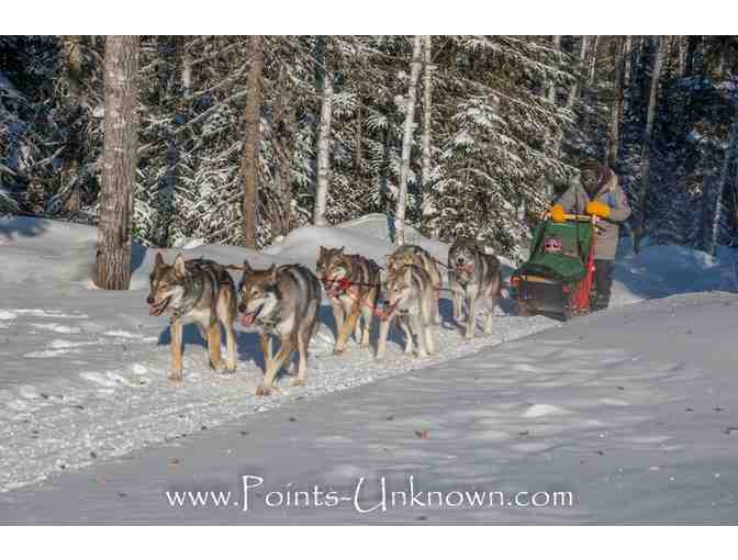 Dog Sledding Adventure for Two with Points Unknown - Photo 1