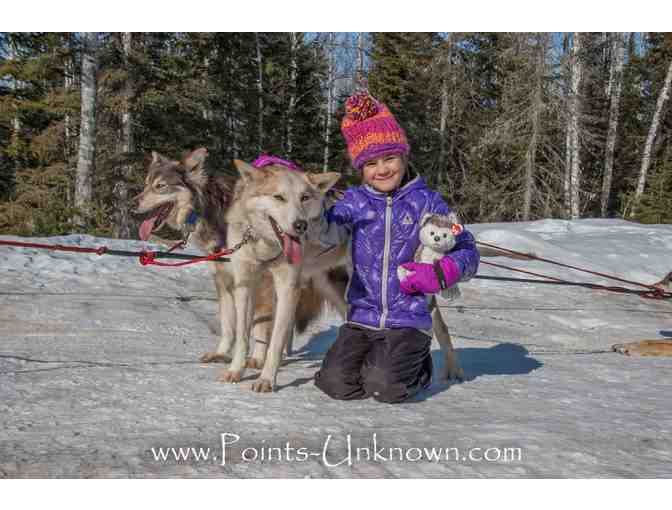 Dog Sledding Adventure for Two with Points Unknown