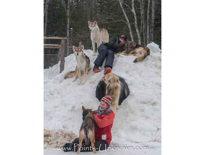 Dog Sledding Adventure for Two with Points Unknown