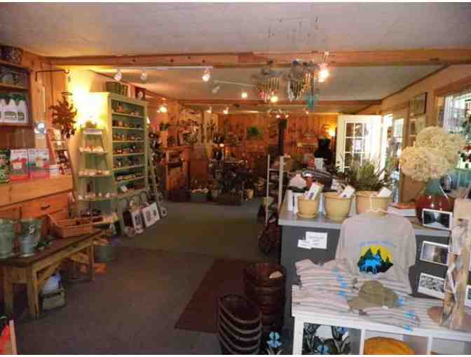 $50 Gift Certificate for The Blue Moose