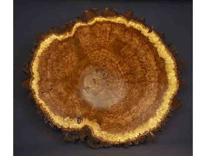 Large Elm Burl Bowl by North House Instructor Lou Pignolet