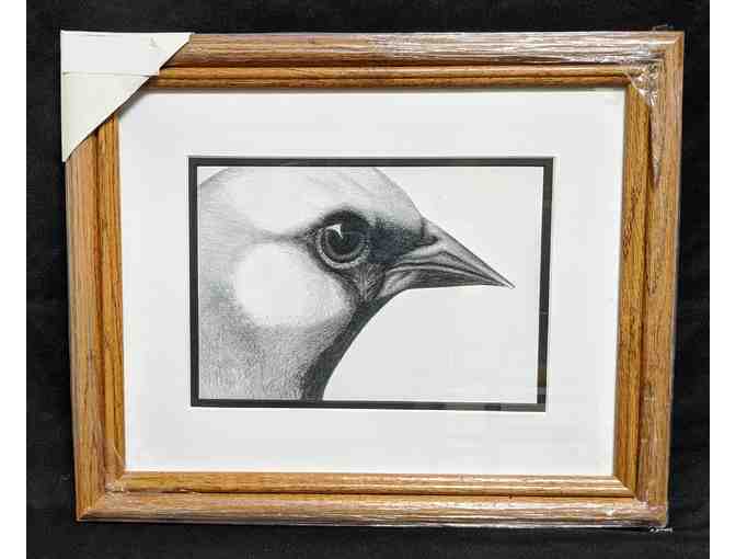 Deborah Diana's 'Bird Portrait'