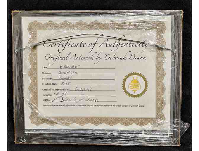 Deborah Diana's 'Killdeer'