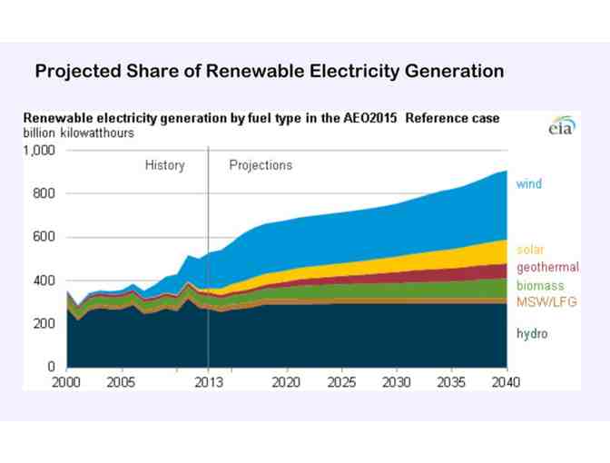 Environmental Graphiti: The Art of Climate Change by Alisa Singer