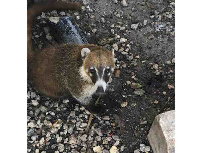 Hacienda Tres Rios Resort, Spa & Nature Park in Cancun, Mexico