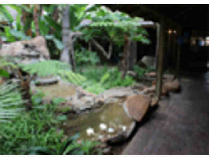 Mount Amanzi, South Africa - Deeded, 1 Bedroom Timeshare