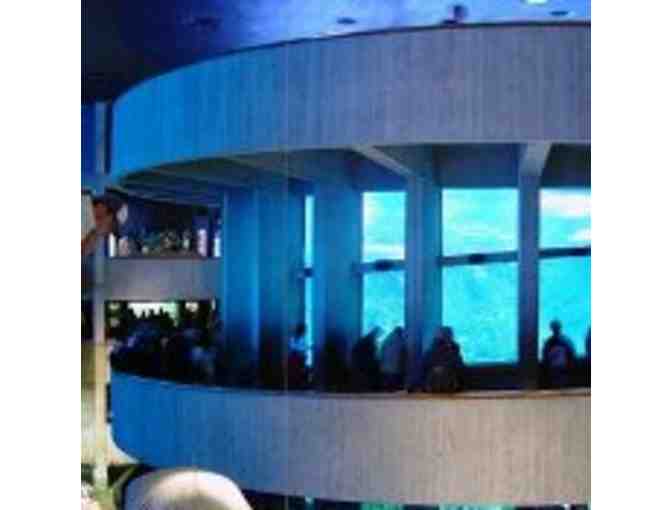 (2) Passes to the New England Aquarium