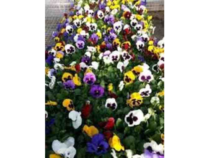 $200 Gift Card to Corliss Bros. Nursery & Garden Center