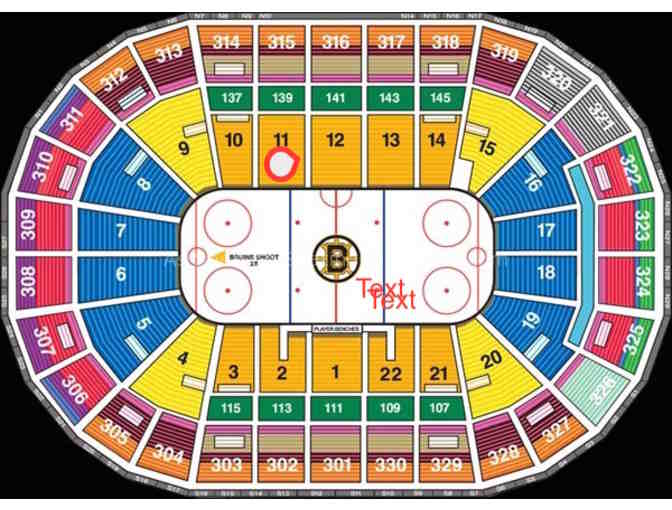 (2) Tickets Bruins vs. Panthers GREAT seats!
