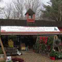 Christmas at Utopia Farms