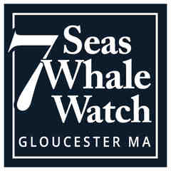 7 Seas Whale Watch