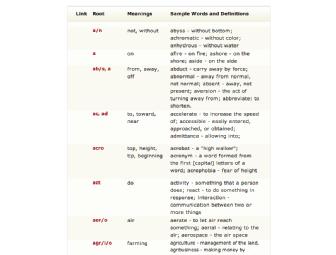 One Year of Unlimited Vocabulary and Spelling Coaching