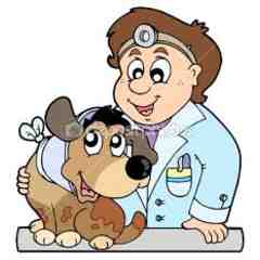 Sepulveda Animal Hospital