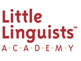 Language & Culture Immersion Summer Camp @ Little Linguists