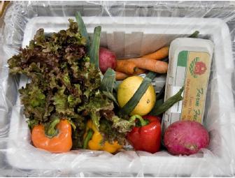 Get Organic! Irv & Shelly's Fresh Picks & MightyNest