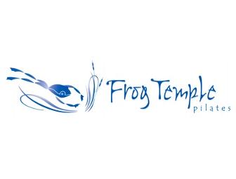 Private Pilates Lessons @ Frog Temple
