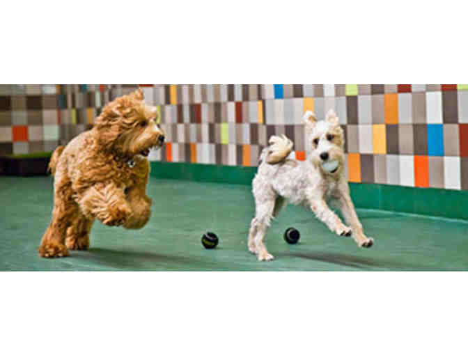 4 days of Play at the Pooch Hotel West Loop