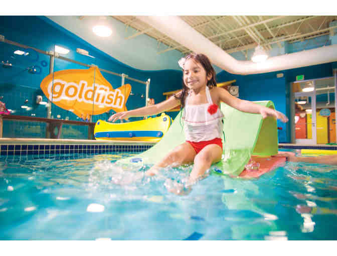 Two Months of Swim Lessons + membership at Goldfish Swim in Roscoe Village or Wicker Park