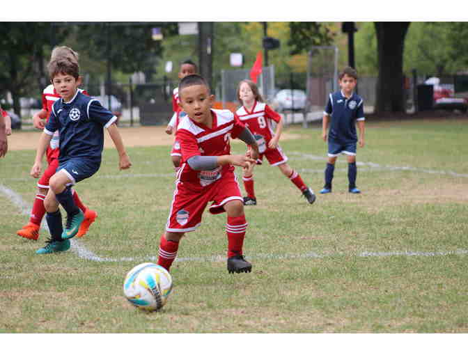6 Week Summer Soccer Program at West Loop Soccer Club (ages 2-12)