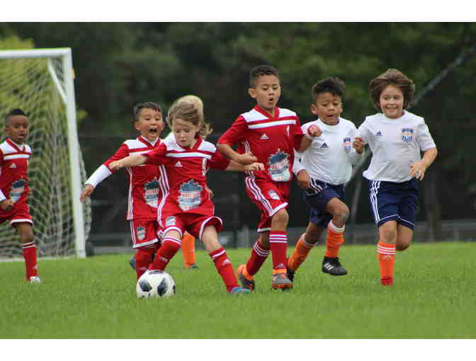 6 Week Summer Soccer Program at West Loop Soccer Club (ages 2-12)