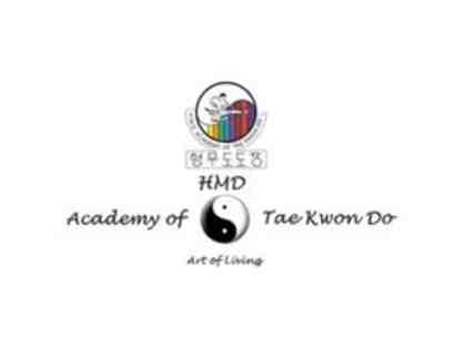 Private Tae Kwon Do Lesson - 1 hour