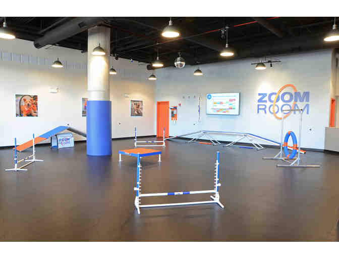 Zoom Room Chicago Dog Training Flex Pass for Group Classes (5)