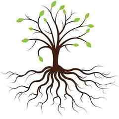 Roots Educational and Behavioral Consulting, LLC