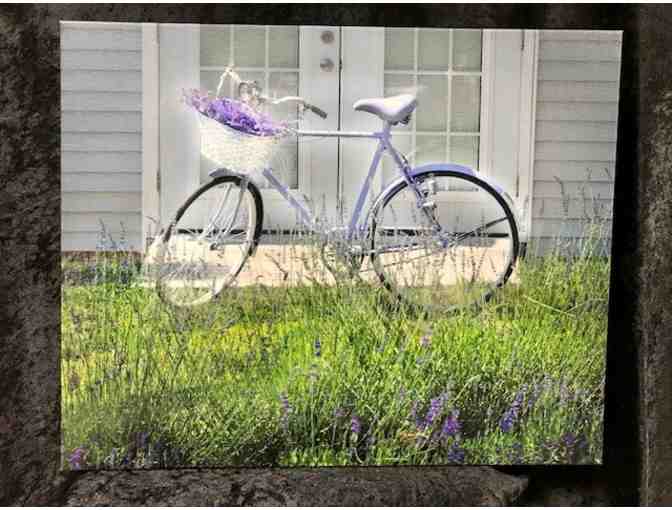 Bicycle -- Photographed by local artist Brenda McDougald