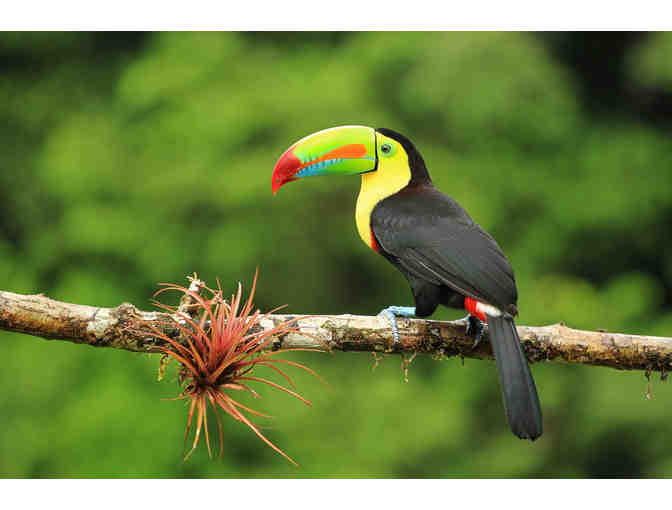 Enjoy Tropical Costa Rica