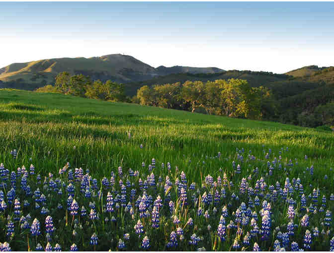 Two Nights at Exclusive Santa Lucia Preserve in Carmel Valley