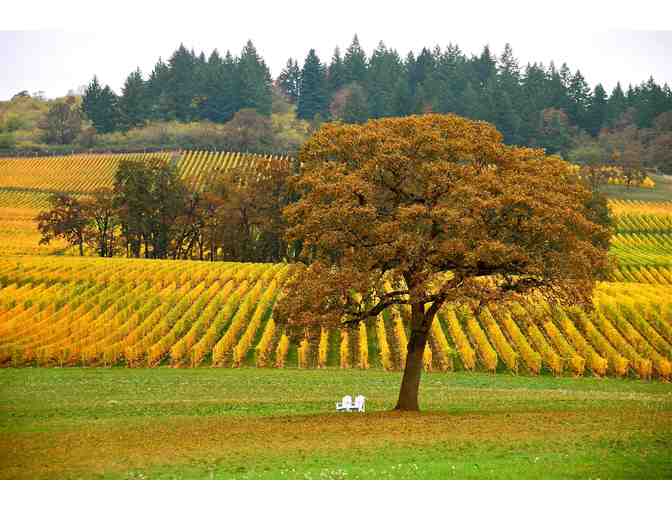 DELIGHTFUL & DECANTED