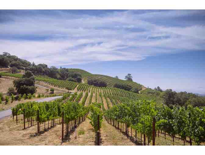A VISIT TO NAPA NEIGHBORS