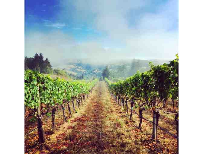 PACIFIC COAST PINOTS