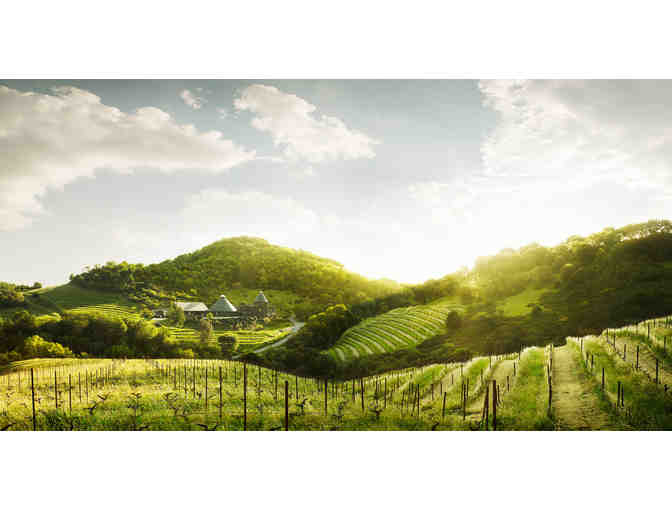 THREE CHEERS FOR PINOT NOIR