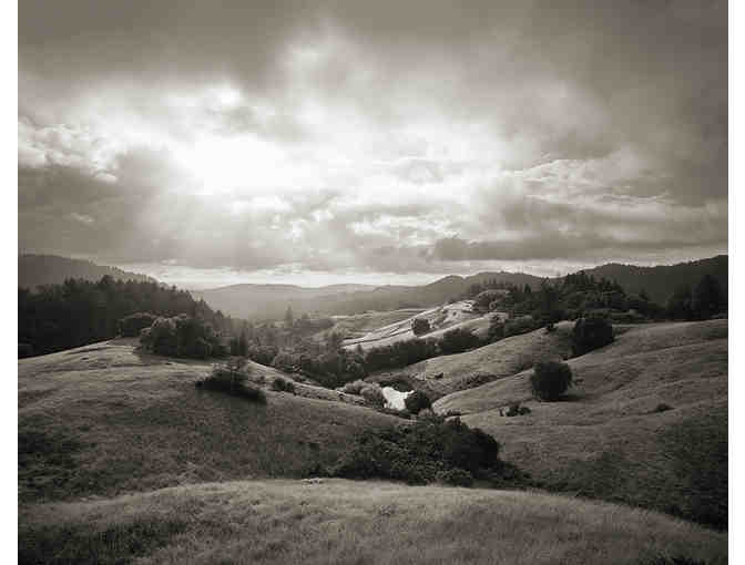 A NEW YORK VINTNER DINNER