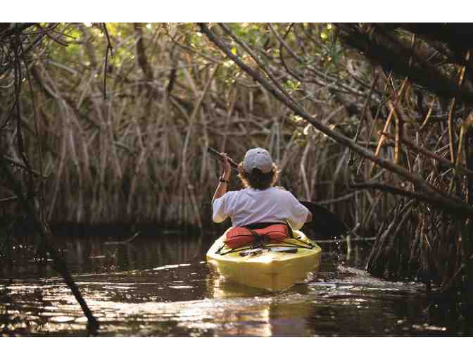 NAPLES, THE GREEN WAY