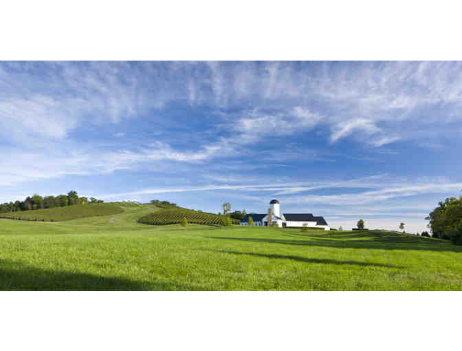 VIRGINIA IS FOR WINE-LOVERS