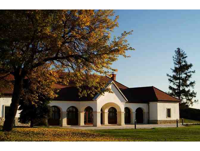 EXPERIENCE WINE CULTURE - SPAIN