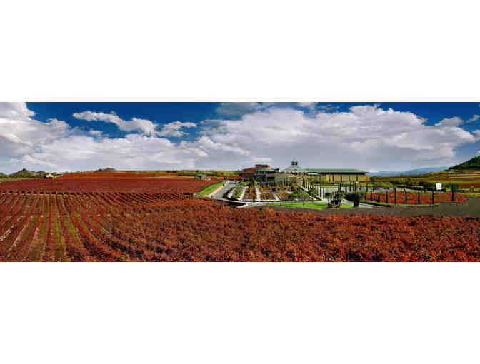 EXPERIENCE WINE CULTURE - SPAIN