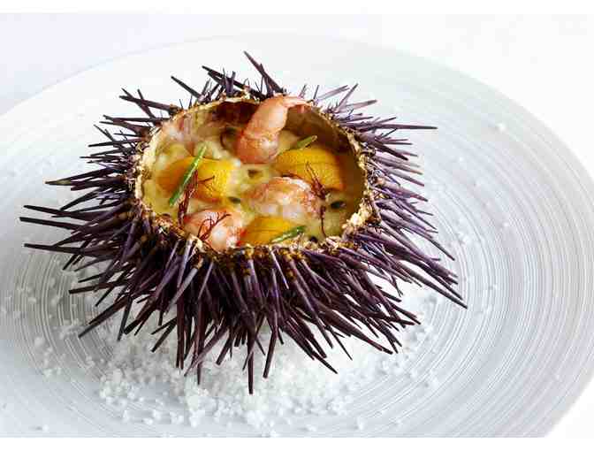 SAN FRANCISCO, HERE I COME!