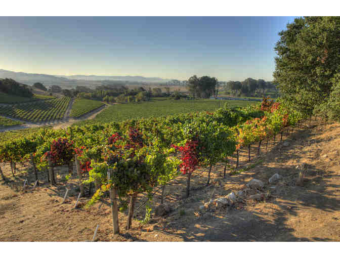 ENJOY THE CAKEBREAD EXPERIENCE