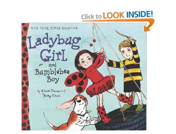 Set of 3 Ladybug Girl Books