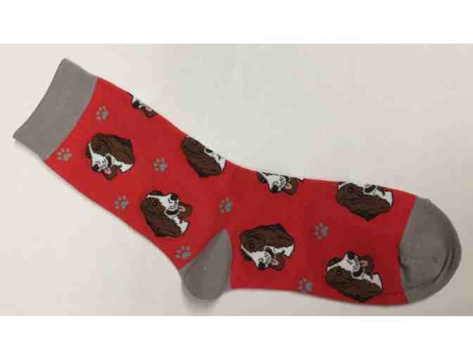 Basset Socks for a Week