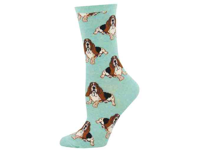 Basset Socks for a Week