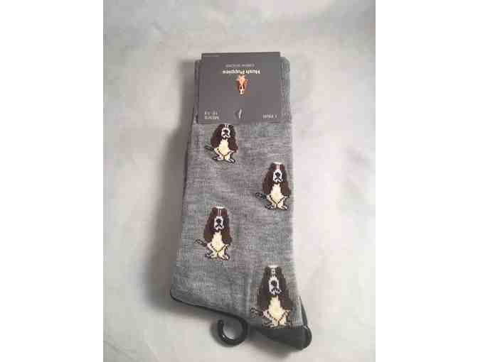 Basset Socks for a Week