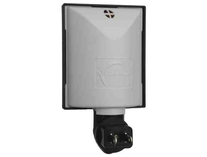 Basset Hound Night Light