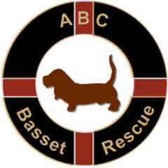 ABC Basset Hound Rescue